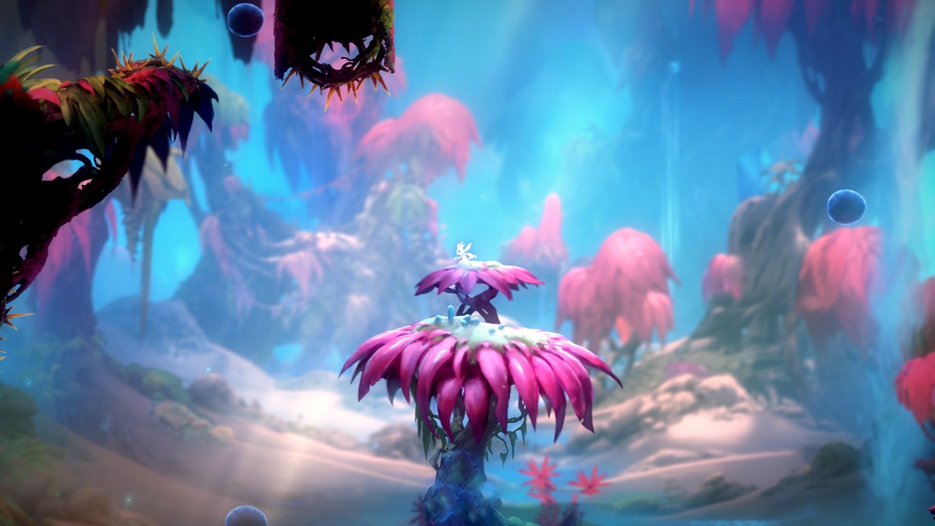 战术方向：两大豪门的布局秘诀曝光！