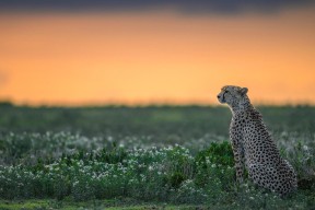 爱游戏电竞官网-【比分追踪】每日比赛实时数据汇总，比分即时数据