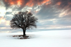 爱游戏娱乐平台-“德甲争冠集团逐步成型，领先球队稳步向前”，德甲冠军时不时来群里看看