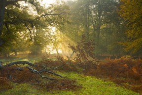 AYX SPORTS-国际象棋中国公开赛天津滨海举行，240余名中外棋手角逐，国际象棋比赛结果