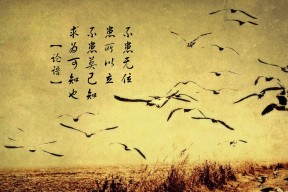 AIYOUXI.COM-凯尔特人设置场边冥想区，提供观赛期间心理放松服务，凯尔特人的场馆