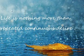 爱游戏官方网站-“德国梦之队状态火热，迎战重要赛事”，德国梦幻