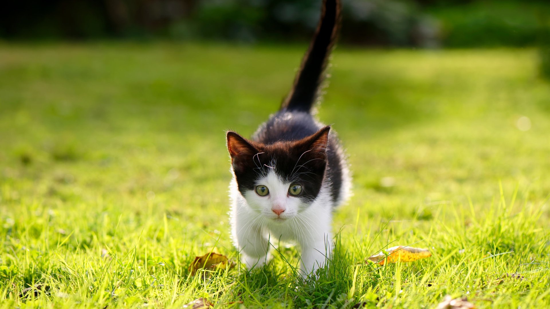 《电竞行业高端会议：行业领袖共话未来》，电竞行业大事