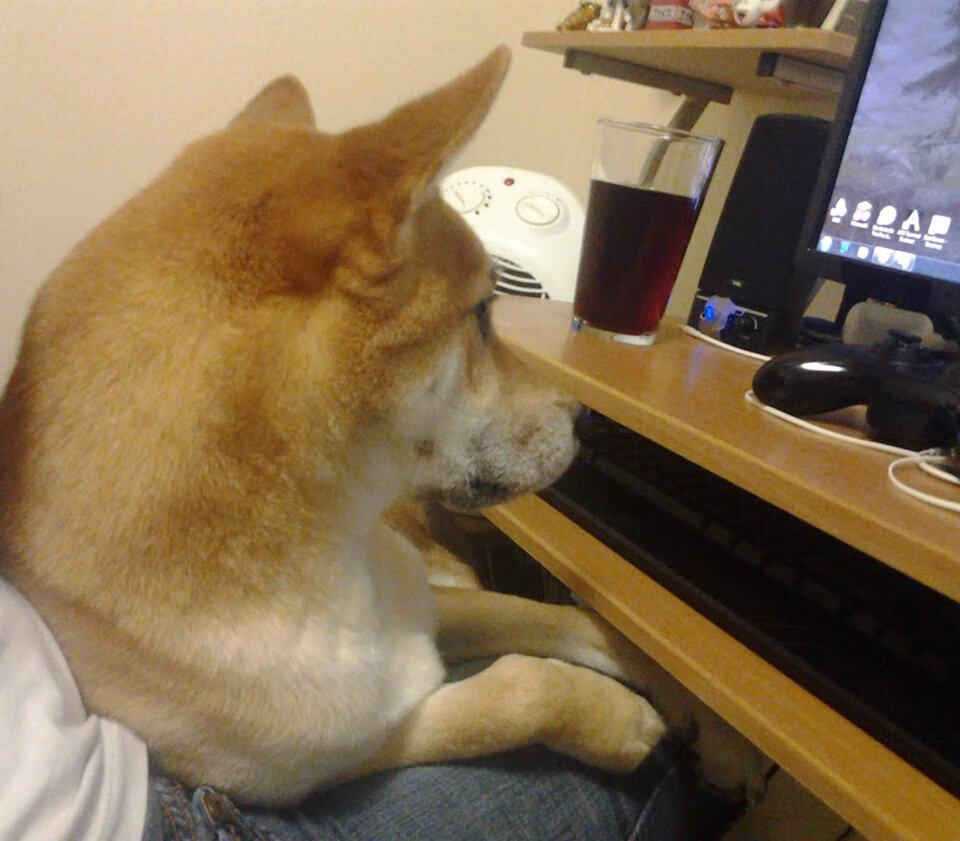 主场不胜！法国球迷陷入沉默，法国球迷哭了